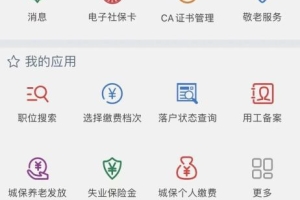 办理上海积分和落户关键一步！上海社保查询个人账户缴费明细查询