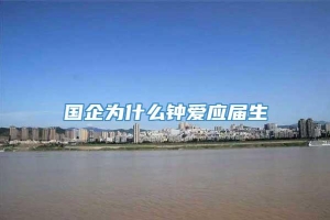 国企为什么钟爱应届生