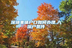 深圳集体户口如何办理,入深户条件