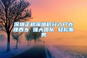 深圳正规深圳积分入户办理西乡 强大团队 轻松服务