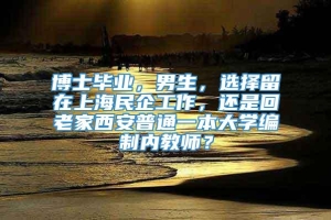 博士毕业，男生，选择留在上海民企工作，还是回老家西安普通一本大学编制内教师？