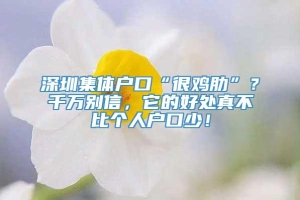 深圳集体户口“很鸡肋”？千万别信，它的好处真不比个人户口少！