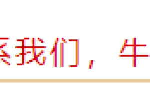 深圳引进高层次人才认定指南