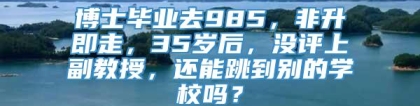 博士毕业去985，非升即走，35岁后，没评上副教授，还能跳到别的学校吗？