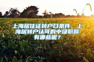 上海居住证转户口条件，上海居转户认可的中级职称有哪些呢？