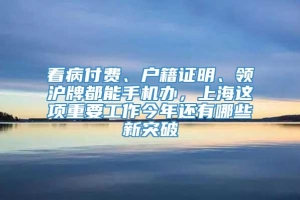 看病付费、户籍证明、领沪牌都能手机办，上海这项重要工作今年还有哪些新突破