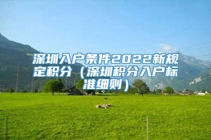 深圳入户条件2022新规定积分（深圳积分入户标准细则）