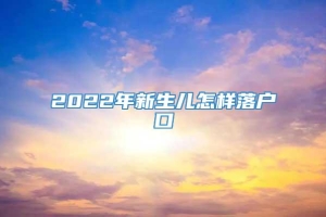 2022年新生儿怎样落户口