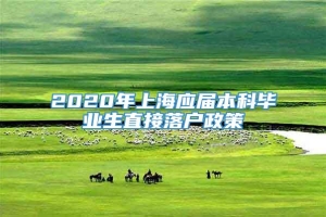 2020年上海应届本科毕业生直接落户政策