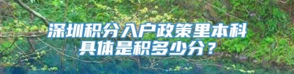 深圳积分入户政策里本科具体是积多少分？