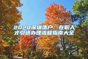 2020深圳落户：在职人才引进办理流程指南大全