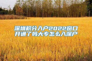 深圳积分入户2022窗口开通了吗大专怎么入深户