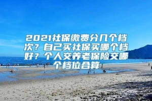 2021社保缴费分几个档次？自己买社保买哪个档好？个人交养老保险交哪个档位合算