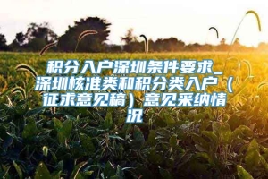 积分入户深圳条件要求_深圳核准类和积分类入户（征求意见稿）意见采纳情况