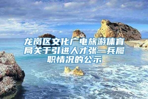 龙岗区文化广电旅游体育局关于引进人才张一兵履职情况的公示