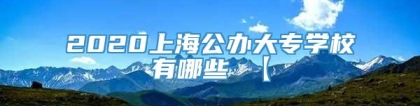 2020上海公办大专学校有哪些 【