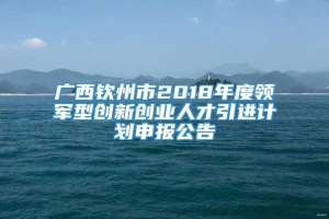 广西钦州市2018年度领军型创新创业人才引进计划申报公告