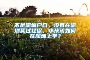 不是深圳户口，没有在深圳买过社保，小孩该如何在深圳上学？