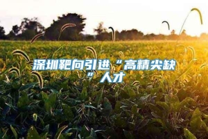 深圳靶向引进“高精尖缺”人才