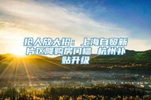 抢人放大招：上海自贸新片区降购房门槛 杭州补贴升级