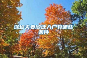 深圳夫妻随迁入户有哪些条件