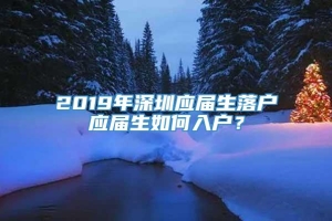 2019年深圳应届生落户应届生如何入户？