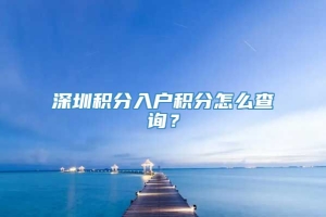 深圳积分入户积分怎么查询？