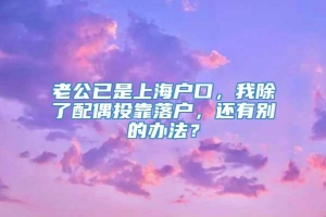 老公已是上海户口，我除了配偶投靠落户，还有别的办法？