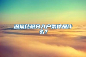 深圳纯积分入户条件是什么？