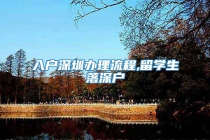 入户深圳办理流程,留学生落深户