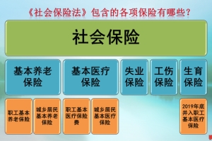 8月份，灵活就业的养老保险缴费再次上涨，还要交吗？有补贴吗？