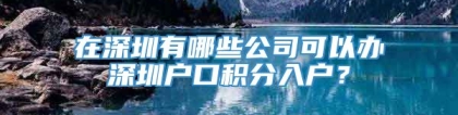 在深圳有哪些公司可以办深圳户口积分入户？