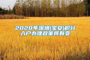 2020年深圳(宝安)积分入户办理政策将有变