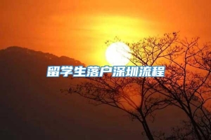 留学生落户深圳流程