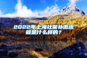 2022年上海社保补缴流程是什么样的？