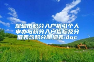 深圳市积分入户指引个人申办与积分入户指标及分值表含积分明细表.doc