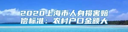 2020上海市人身损害赔偿标准：农村户口金额大