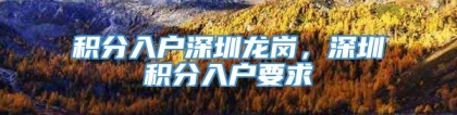 积分入户深圳龙岗，深圳积分入户要求