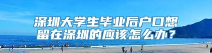 深圳大学生毕业后户口想留在深圳的应该怎么办？