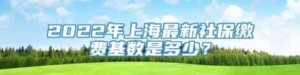 2022年上海最新社保缴费基数是多少？