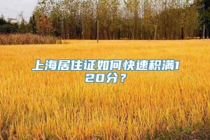 上海居住证如何快速积满120分？