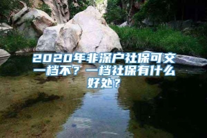 2020年非深户社保可交一档不？一档社保有什么好处？