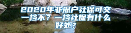 2020年非深户社保可交一档不？一档社保有什么好处？