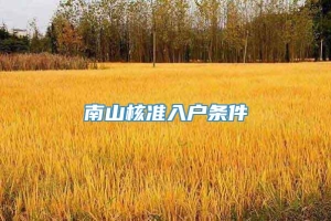 南山核准入户条件