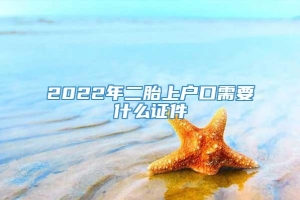 2022年二胎上户口需要什么证件