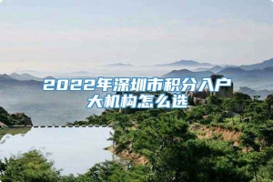 2022年深圳市积分入户大机构怎么选