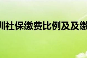 2019年深圳社保缴费比例及及缴费基数表发布