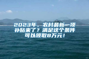 2023年，农村最新一项补贴来了？满足这个条件可以领取8万元！