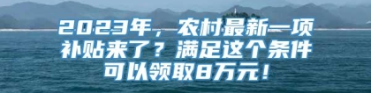 2023年，农村最新一项补贴来了？满足这个条件可以领取8万元！