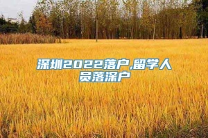 深圳2022落户,留学人员落深户